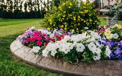Tips to Get Your House Ready for Spring